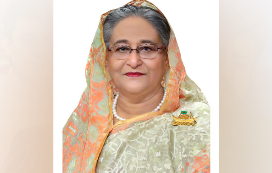 বিএনপি সবসময় ধ্বংসাত্মক কাজ করে: প্রধানমন্ত্রী