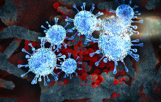 বিশ্বে করোনায় আক্রান্ত ও মৃত্যু দুটোই বেড়েছে