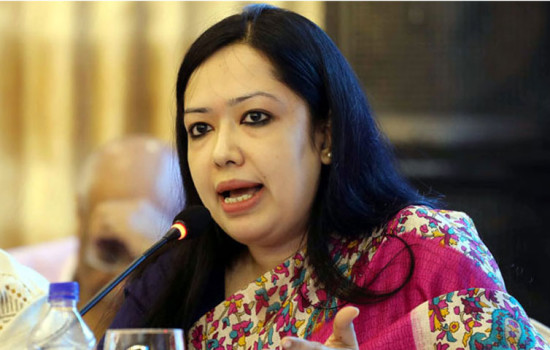 সরকারের লবিস্ট নিয়োগ নিয়ে যা বললেন এমপি রুমিন