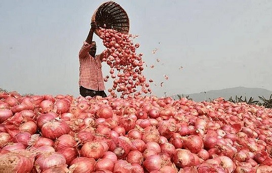 পেঁয়াজ উৎপাদনে বিশ্বে বাংলাদেশের অবস্থান তৃতীয়