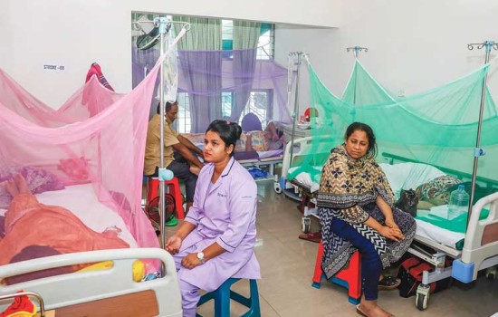 আরও ১৪ ডেঙ্গুরোগী হাসপাতালে ভর্তি