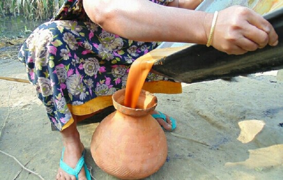 শীতের মুখোরোচক খাবারের আরেক নাম “খেজুরের রস”