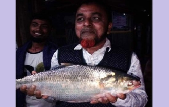 এক ইলিশের দাম সাড়ে ৪ হাজার টাকা