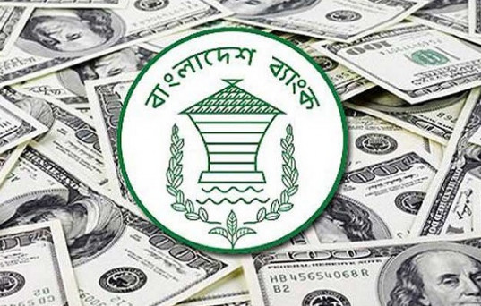 জানুয়ারিতে ৬০০ কোটিরও বেশি রেমিট্যান্স বেড়েছে