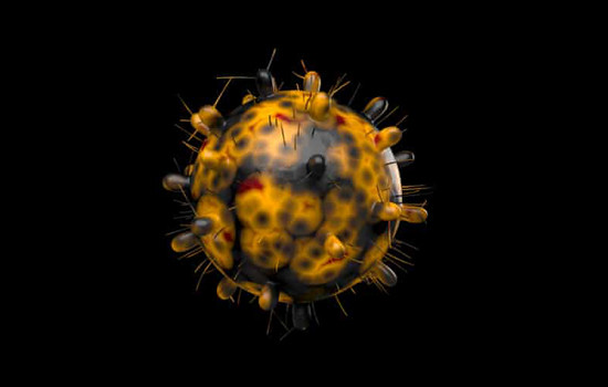 ওমিক্রন শনাক্তের পর বিশ্বে ৫ লাখ লোক মারা গেছে : ডব্লিওএইচও