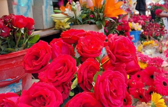 ১০ টাকার গোলাপ বিক্রি হচ্ছে ১০০ টাকা