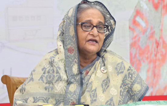 যে দলের চেয়ারপার্সন সাজাপ্রাপ্ত আসামি সেই দলকে জনগণ কেন ভোট দেবে : প্রধানমন্ত্রী