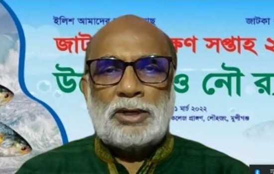 জাটকা আহরণে জড়িতদের বিরুদ্ধে কঠোর ব্যবস্থা