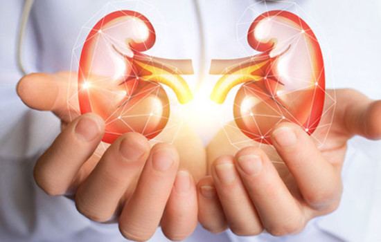 বিশ্ব কিডনি দিবস আজ