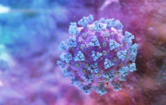 করোনায় আজও মৃত্যু নেই