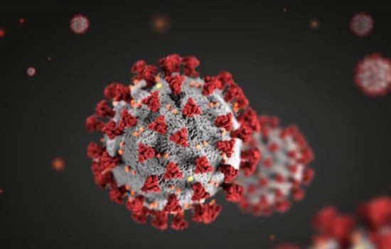 করোনায় মৃত্যু শূন্য চারদিন