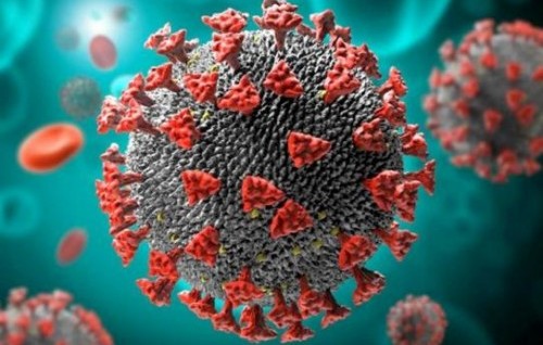 দেশে করোনা শনাক্তের হার নামল ১ এর নিচে, মৃত্যু নেই