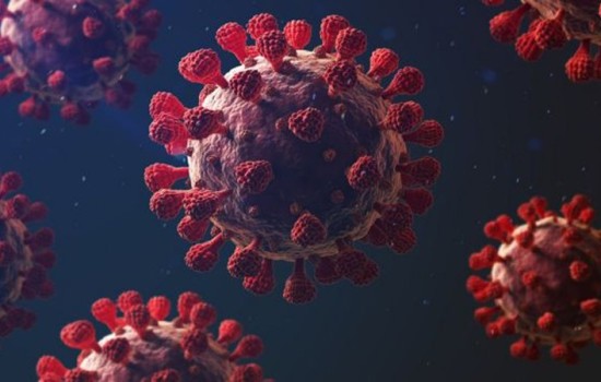 দেশে আজ করোনায় একজনের মৃত্যু; শনাক্ত ৮১