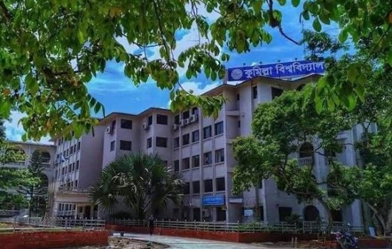 ছাত্রলীগ নেতাকে ‘তুমি’ বলায় শিক্ষার্থীকে মারধর