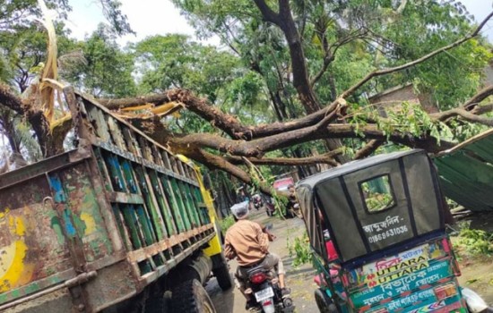 সারাদেশে কালবৈশাখীতে ৭ জনের প্রাণহানি