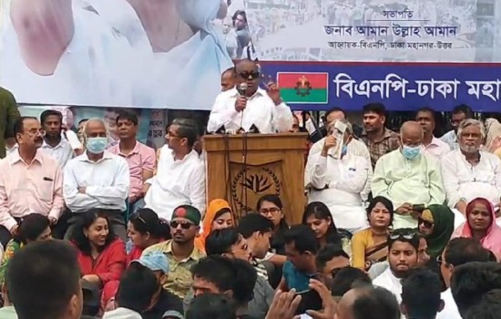 বিএনপির প্রতীকী গণঅনশনে এলডিপির অংশগ্রহণ