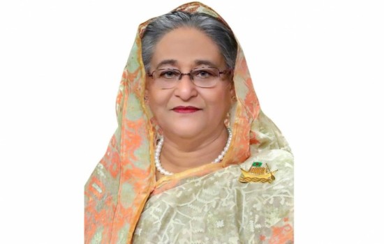 মিলিটারি কায়দায় কাজ করতে হবে : প্রধানমন্ত্রী