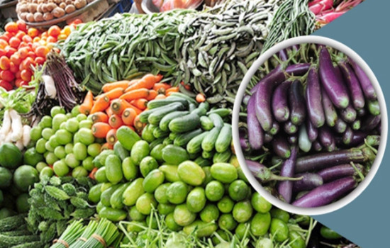 বেগুনের গায়ে লেগেছে আগুন