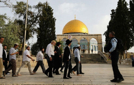 আল-আকসা মসজিদে তাণ্ডব চালিয়েছে ইহুদিরা