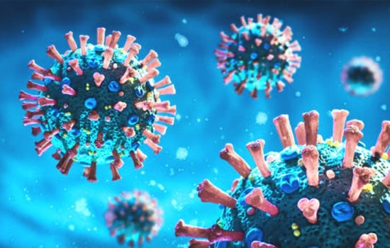 করোনায় মৃত্যু শূন্য আজ, শনাক্ত ০.৩৮ শতাংশ