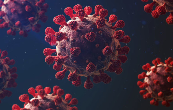 দেশে করোনায় মৃত্যু নেই, শনাক্ত ৫৬