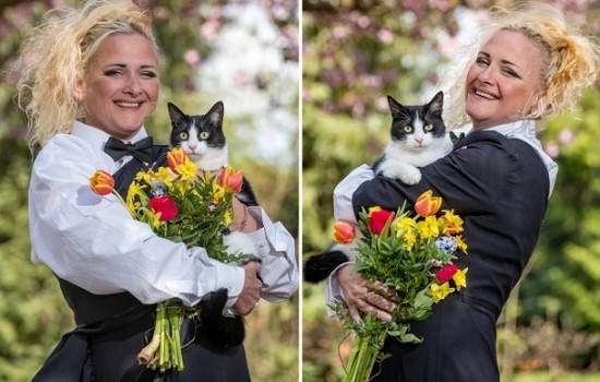 পাঁচ বছর প্রেমের পর বিয়ে, পাত্র দেখে সবাই বিস্ময়!