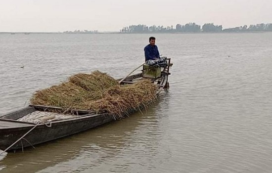 আকস্মিক বন্যায় সর্বশান্ত কুড়িগ্রামের তিস্তা পাড়ের কৃষক