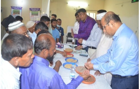 কুমিল্লার মাঠ মাতাবে কম খরচের নতুন ধান