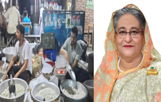 বিসিএস ক্যাডার ২ ভাইকে পুরস্কৃত করতে চান প্রধানমন্ত্রী