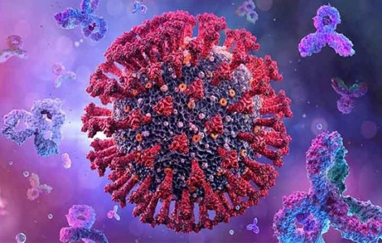 টানা ১৩ দিন করোনায় মৃত্যুশূন্য দেশ, শনাক্ত ৭