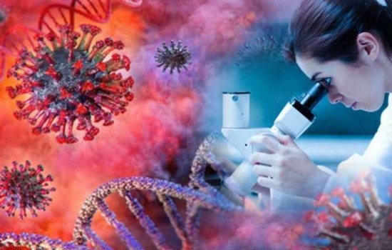 করোনা : শনাক্ত আরও ২২ জন, মৃত্যু নেই