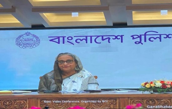 পদ্মা সেতুর দুই থানা উদ্বোধন করলেন প্রধানমন্ত্রী