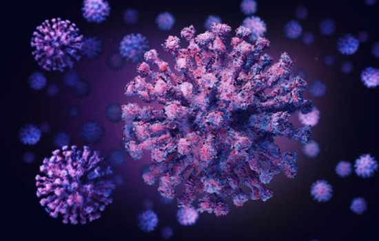 করোনা : সারা দেশে মৃত্যু নেই, শনাক্ত ২৩২