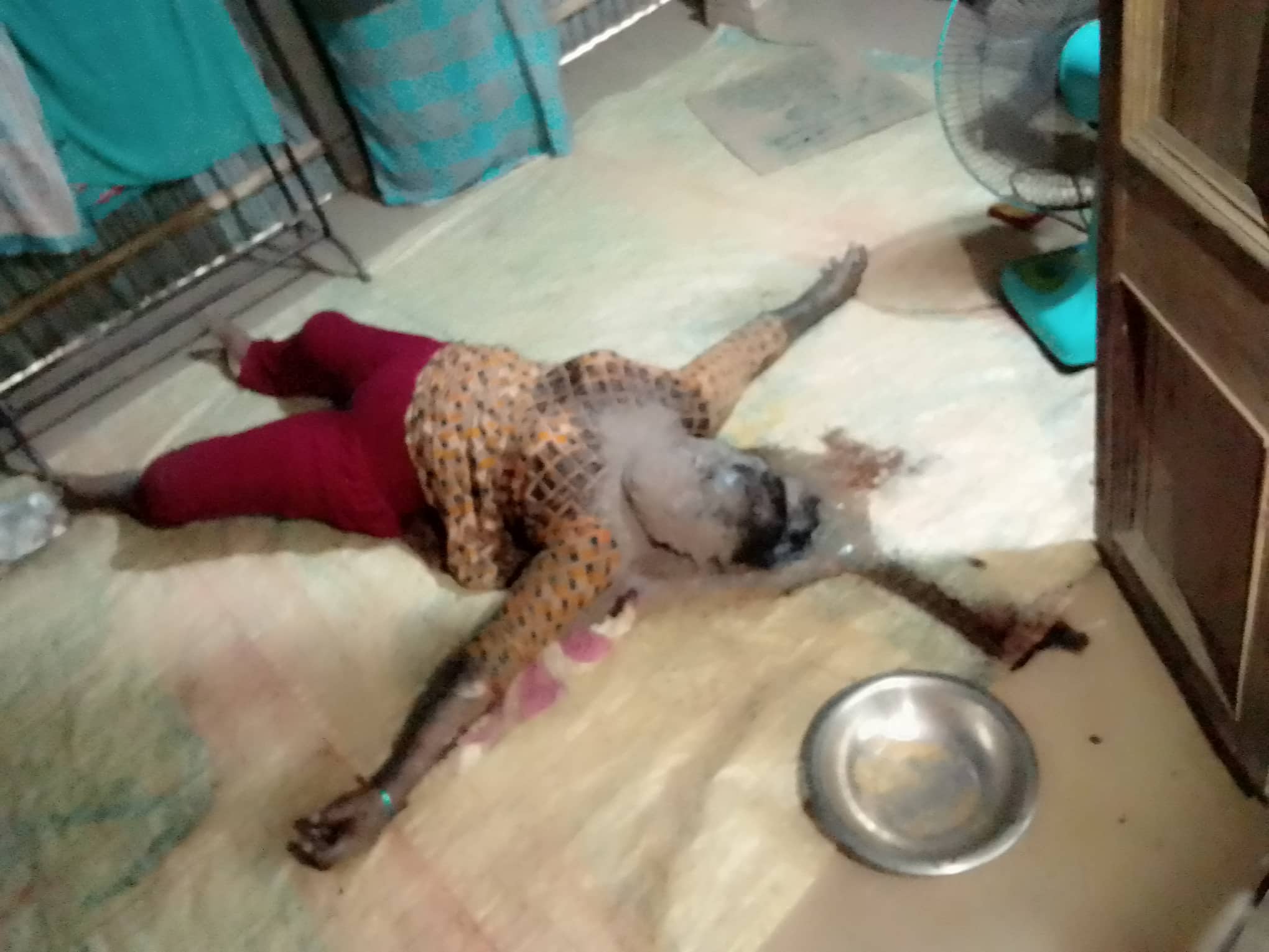 শেরপুরে বয়স্ক নারীর গলিত লাশ উদ্ধার।