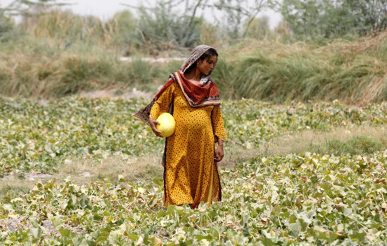 প্রচণ্ড গরমে গর্ভকালীন জটিলতায় নারীরা