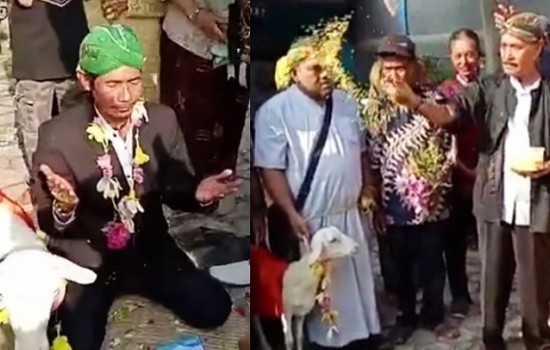 ছাগলকে বিয়ে করলেন যুবক! ভিডিও ভাইরাল