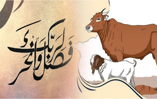 কোরবানি দিতে হলে কত টাকা থাকতে হবে?