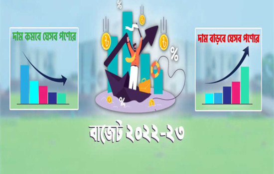 জাতীয় বাজেট : কমতে-বাড়তে পারে যেসব পণ্যের দাম