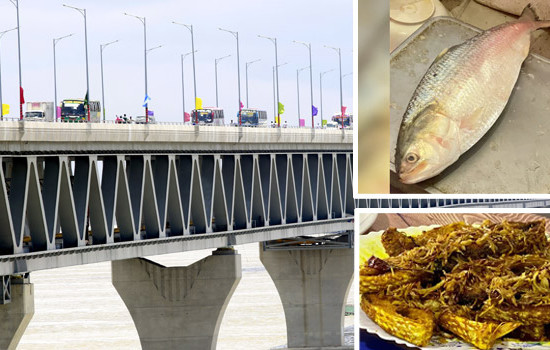 পদ্মা সেতু দেখতে এসে ইলিশে-মজা পেয়ে যা লিখলেন ভারতীয় সাংবাদিক