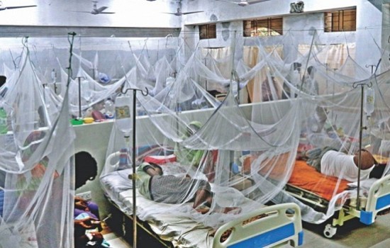 বেড়েছে ডেঙ্গু, একদিনে হাসপাতালে ২৪ রোগী