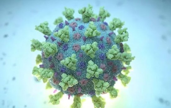 করোনায় মৃত্যুহীন দিনে বেড়েছে শনাক্ত