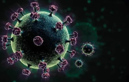 ২৪ ঘণ্টায় ২ জনের মৃত্যু, বেড়েছে শনাক্ত