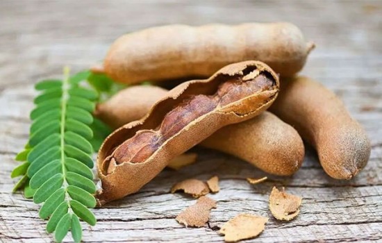 শরীরের জন্য তেঁতুল কতটা উপকারী?