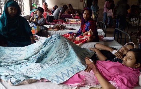 বরগুনায় বাবার অনৈতিক প্রস্তাবে রাজি না হওয়ায় মা-মেয়েকে মারধর