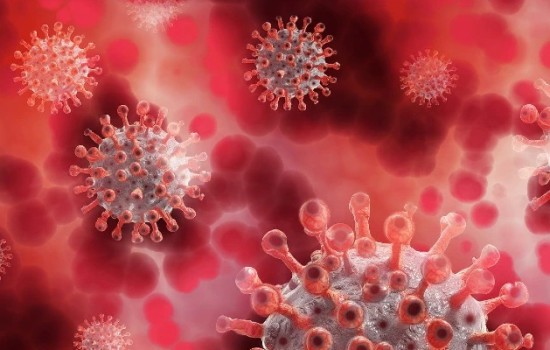 ২৪ ঘণ্টায় মৃত্যু ৪, শনাক্ত ৬.১৪ শতাংশ