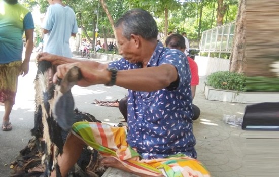 প্রতি পিস খাসির চামড়া ৫ টাকা!