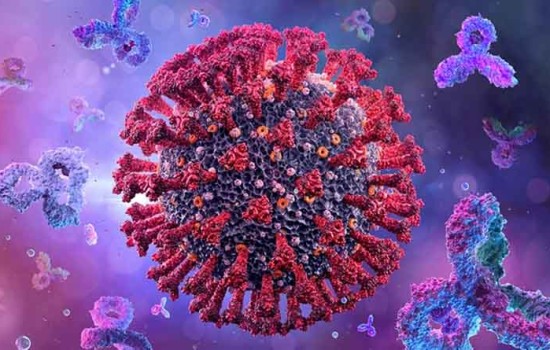 করোনায় আরও ৭ জনের মৃত্যু, শনাক্ত ১৯৯৮