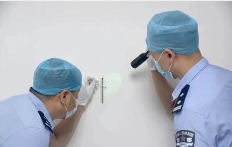 মরা মশায় চোর শনাক্ত করল পুলিশ