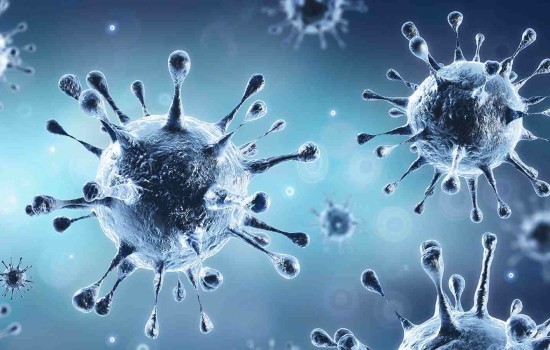 ২৪ ঘণ্টায় মৃত্যু ১, শনাক্ত ৫.২০ শতাংশ