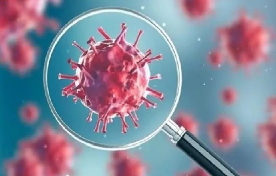 মৃত্যুশূন্য দিনে দেশে করোনা শনাক্ত ১৭৫